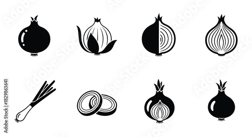 Illustrative depictions of onions in varying stages of preparation and form