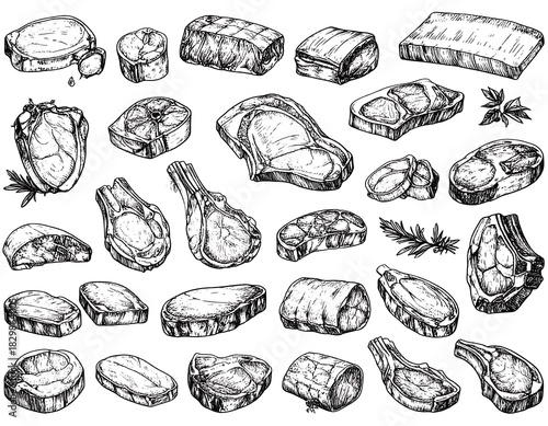 Detailed sketch of various cuts of meat displayed on a white background artwork