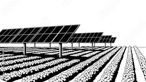 Solar panels over agricultural field isolated on white background