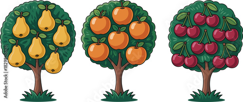 Set of colorful fruit trees featuring pear orange and cherry with green leaves isolated on white background for vector design.