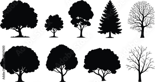 Set of mixed black tree silhouettes featuring leafy pine and bare winter branches isolated on white background vector.