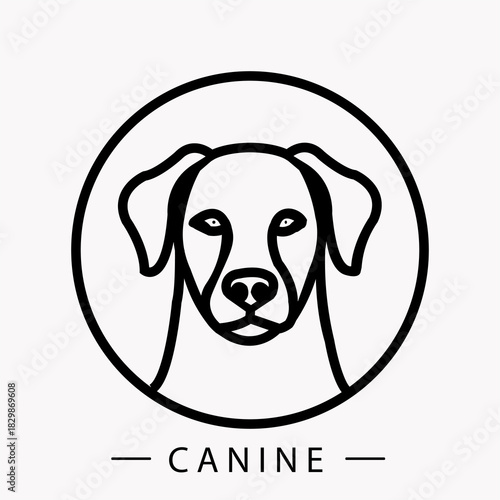 Pet animals are loving companions that bring joy, comfort, and emotional support. They enhance our lives with loyalty, playfulness