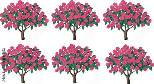 Set of pink flowering trees with green leaves isolated on white background for landscape design vector.