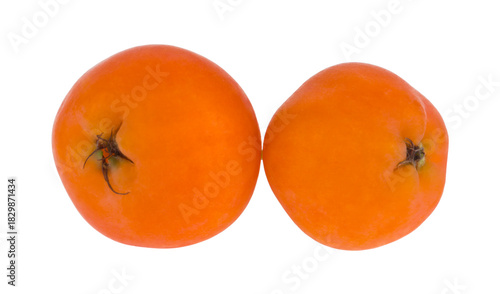 Rowan berries isolated on white background.