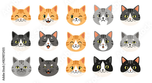 A charming set of fifteen cartoon cat faces with diverse fur patterns and expressive emotions, including joy, sadness, surprise, and playfulness, isolated on white.