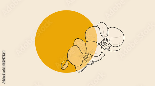 Minimalist Yellow and Orange Orchid Flower Illustration with a Warm Circle Background, Elegant Botanical Vector Art