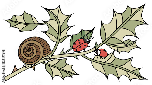 Hand-drawn Snail and Ladybugs on a Spiky Holly Branch Vector, A hand-drawn illustration of a snail and two ladybugs on a spiky holly branch with green leaves
