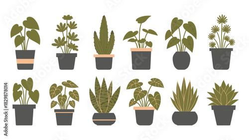 A charming collection of diverse potted houseplants for stylish interior decoration and botanical ambiance