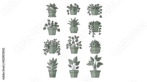 Set of diverse indoor potted plants illustrations, showcasing a variety of green foliage in elegant grey containers for natural home decor and botanical design elements