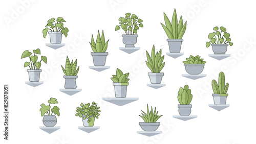 A charming collection of various potted houseplants displayed on shelves, offering a fresh and green decorative element for modern interiors