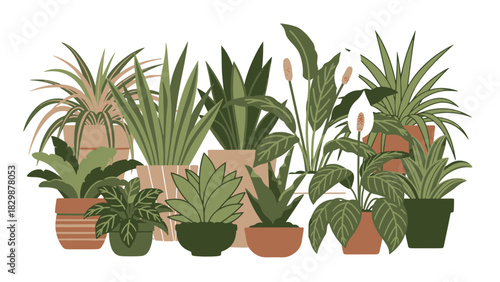 A beautiful collection of diverse potted houseplants, bringing nature and green decor into any modern interior space