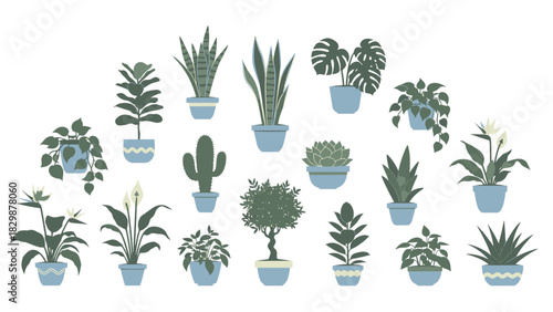 Potted houseplants collection, perfect for interior decor and green living concepts, adding natural beauty to any space