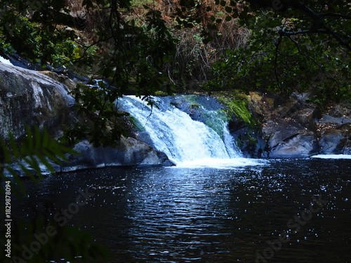 fantástica cascada de agua clara deslizándose sobre una roca cayendo en una simpática piscina, río Pambre, provincia de La Coruña, Galicia, España, Europa