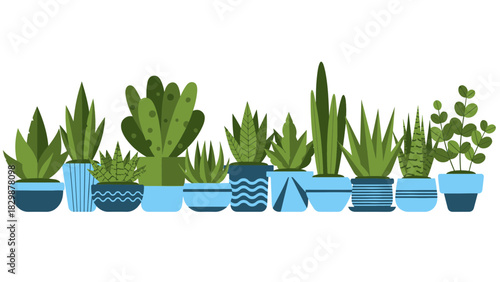 Modern flat vector illustration showcasing a diverse group of potted green plants and succulents in blue and white containers