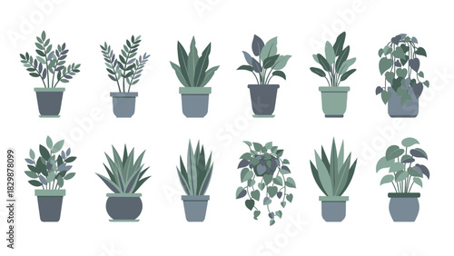 Diverse collection of indoor potted houseplants in a modern flat design style, perfect for home decor, botanical themes, and urban jungle aesthetics
