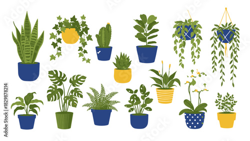 Diverse collection of charming potted houseplants, an engaging illustration showcasing popular indoor botanical varieties perfect for enhancing home decor and natural living spaces
