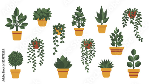 A charming collection of diverse potted houseplants and vibrant indoor greenery presented in a modern flat design illustration style, perfect for home decor and urban gardening projects