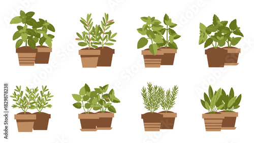 Illustrative display of diverse potted culinary herbs, perfect for home gardening, enriching kitchen flavors, and promoting healthy food concepts