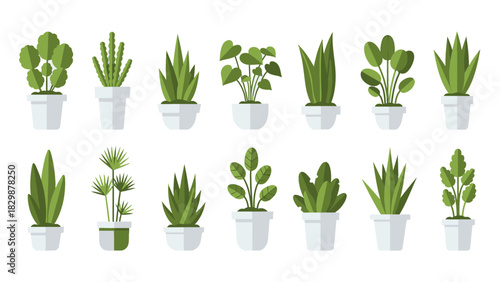 Set of various green potted houseplants with a contemporary flat design, ideal for interior decoration, botanical illustrations, or gardening projects
