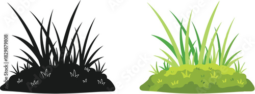 Two contrasting clumps of grass one dark and one vibrant green