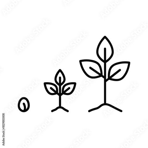 Plant Growth Stages Line Icon