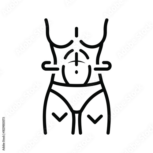 Human Torso Showing Abdominal Muscles Line Art