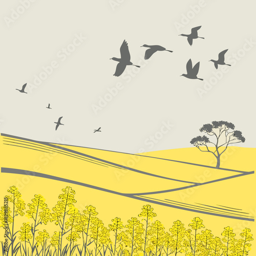A flock of birds flies over a vibrant yellow canola field with a solitary tree on a rolling hill