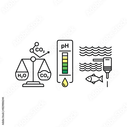 Essential Water Quality Control for Aquariums: pH, CO2, and Filtration