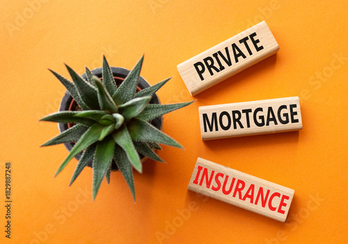 Private Mortgage Insurance symbol. Wooden blocks with words Private Mortgage Insurance. Beautiful orange background with succulent plant. Business concept. Copy space.