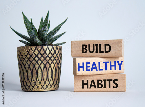 Healthy habits symbol. Concept word Build Healthy habits on wooden blocks with succulent. Beautiful white background. Healthy lifestyle and Healthy habits concept. Copy space