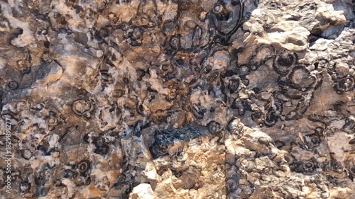 Brachina Gorge Geological Trail: Close-Ups of Ancient Rock Formations and Earth's History in the Flinders Ranges