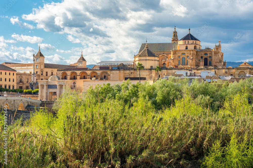 Fototapeta premium Mezquita (Great Mosque of Cordoba) over old town in Andalusia, Spain