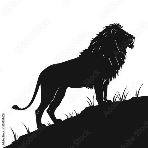 lion black and white