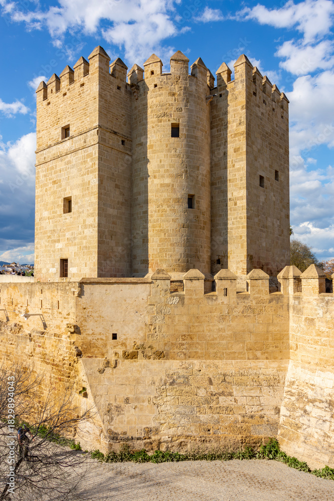 Naklejka premium Calahorra tower at Roman bridge in Cordoba, Spain