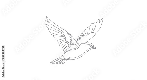 Elegant Line Drawing of a Flying Bird Capturing the Grace and Movement in Space
