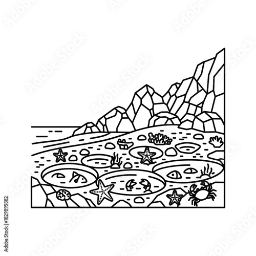 Line art illustration of a tide pool ecosystem featuring starfish, crabs, and seaweed along a rocky coastline, depicting marine life in an intertidal zone.