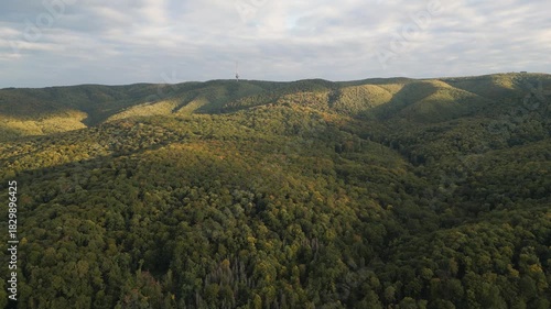 Aerial drone view of forest and hills