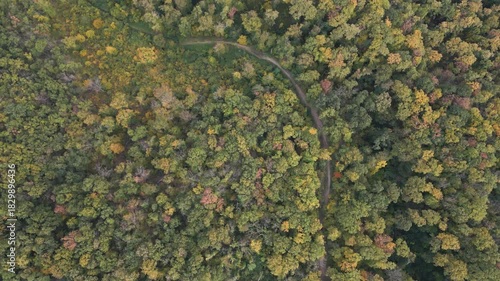 Aerial drone view of forest and hills