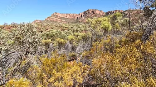 Flinders Ranges, South Australia : Rugged Outback Landscape with Red Earth, Rocky Mountains, and Native Vegetation under a Clear Blue Sky