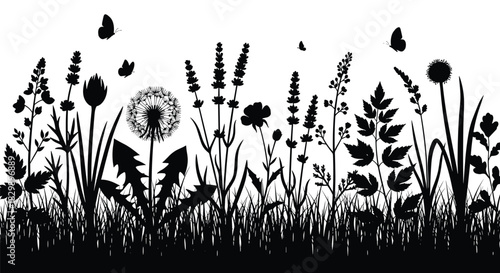 Black silhouette wild meadow grass and floral herbs border with dandelions, lavender, and flying butterflies, spring or summer nature botanical illustration on white.