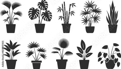 PrintPotted plant silhouette, black vector, leaf shape, indoor greenery, botanical design, nature icon, white background, decorative foliage illustration