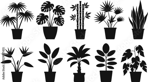 PrintPotted plant silhouette, black vector, leaf shape, indoor greenery, botanical design, nature icon, white background, decorative foliage illustration