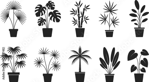 PrintPotted plant silhouette, black vector, leaf shape, tropical foliage, indoor greenery, botanical design, nature icon, white background, decorative illustration