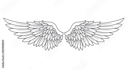 Intricate Line Art Depiction of Angel Wings with Detailed Feather Patterns for Artistic and