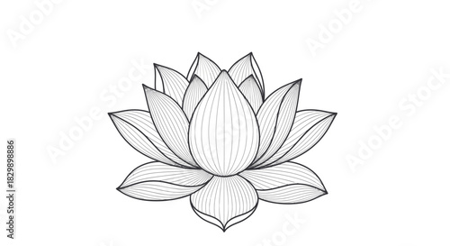 Intricate Black and White Line Art of a Lotus Flower Illustration for Mindfulness and Meditation