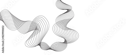 Fototapeta Naklejka Na Ścianę i Meble -  Abstract wavy stripe design. Twisted curve lines with blend effect. Business background lines. Frequency sound waves. Dynamic flowing gray curves isolated on white background.	