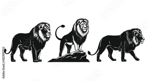 Mighty lion vector silhouette, majestic king of the jungle standing on rock, power, strength, and authority symbol with beautiful mane