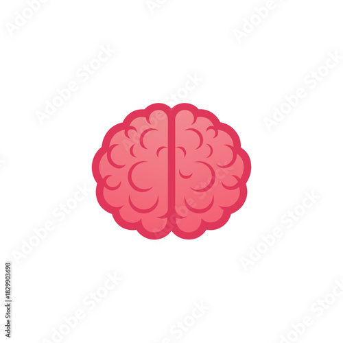 Anatomical brain illustration on a white backdrop on transparent background