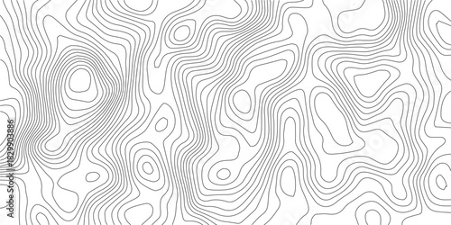 Topographic gradient line map. Abstract circle lines background. Abstract blank detailed topographic contour map. Background of the topographic map. Line topography map contour background.	