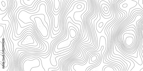 Topographic gradient line map. Abstract circle lines background. Abstract blank detailed topographic contour map. Background of the topographic map. Line topography map contour background.	